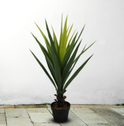 kunstliche agave.png