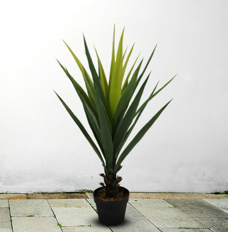 kunstliche agave.png