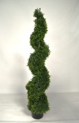 Bukszpan spirala 120cm.JPG