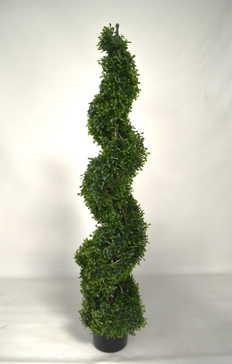 Bukszpan spirala 120cm.JPG