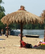 Parasol parasole.JPG