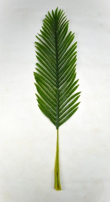 Liść 104cm.JPG