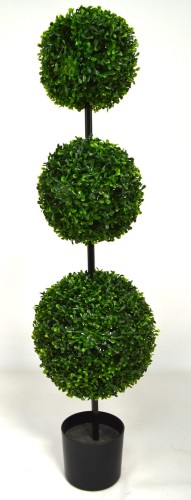 Bukszpan 3 kule 105cm.JPG