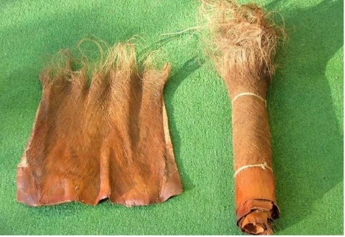 naturalna kora palmy.jpg