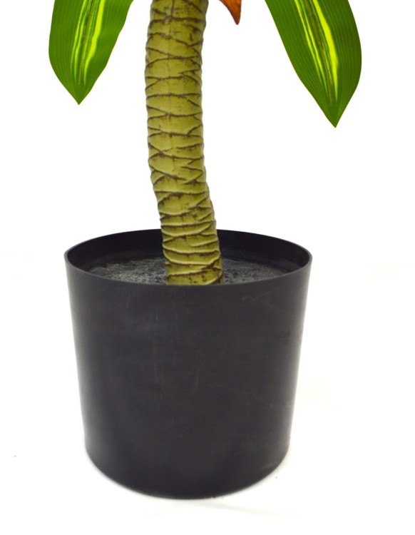 Donica dracena 100cm.JPG