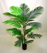 Ombre Kwai 1,6.JPG