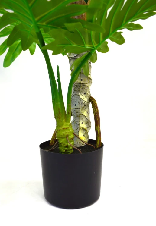 Donica philodendron 1.2.jpg
