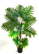 Philodendron 160cm.jpg