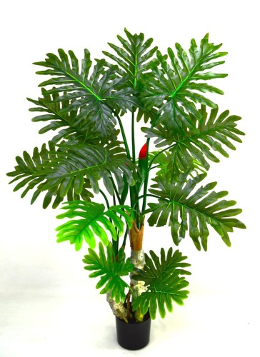 Philodendron 160cm.jpg