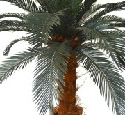 DSC_0326.JPG